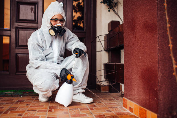 Attic and Crawl Space Rodent Treatment in South Oroville